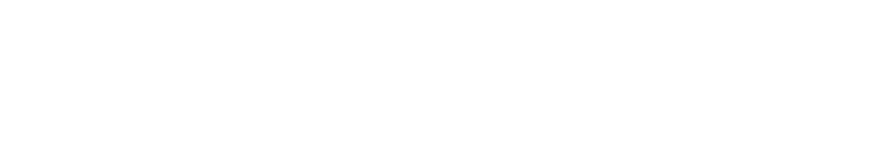 Northern Chisel logo